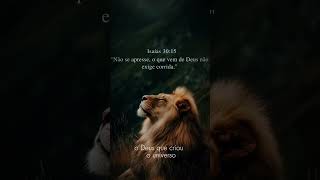 #reflexão #motivação #motivacional #gratidão #jesus #motivational #gratidão #visão Águia