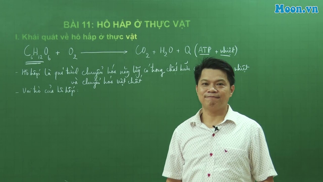 Bài 11 - SH11: Hô hấp ở thực vật