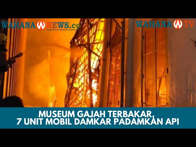 Museum Gajah Terbakar, 7 Unit Mobil Damkar Padamkan Api