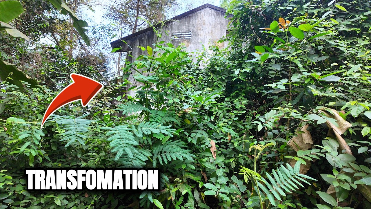 TIME LAPSE - 20-Minute TRANSFORMATION of an ABANDONED, Overgrown House — SATISFYING to Watch
