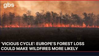 Europe’s Rising Heat Fuels Vicious Cycle of Forest Fires, Expert Warns | AL13