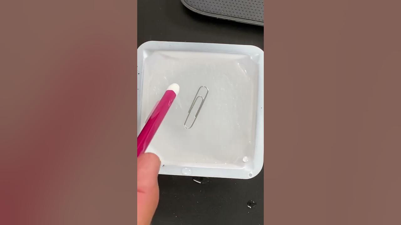 Paper clip floating on water YouTube