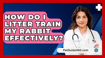 How Do I Litter Train My Rabbit Effectively? - PetGuide360.com