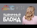 #AyukasovColoration #104 Пшеничный блонд Wheat Blond Bar Couture