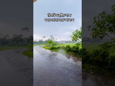 বৃষ্টি বিলাস | Yeasin Arafat HT  #bristi #yeasinarafatht  #Bangladesh #duet #art #shortvideo #সব