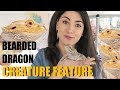 BEARDED DRAGON! | Meet My Cute Dragon | Bearded Dragon Facts | Creature Feature