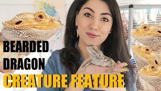 BEARDED DRAGON! | Meet My Cute Dragon | Bearded Dragon Facts | Creature Feature