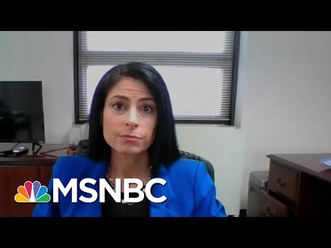 Michigan AG: ‘Have To Do Better To Protect The Seat Of Government’ In The State | MTP Daily | MSNBC
