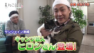Cat Pride on Wednesday, March 22nd at 11 PM... Hiroshi, the solo camper, will appear with his b...