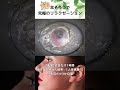 【衝撃】片耳だけ1年間垢を溜め続けた結果…【人体実験⁈】Part3～ #イヤーエステ #耳かき動画 #耳掃除 #eariss #耳かき動画#耳そうじサロンeariss