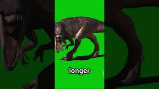 The Mighty Giants . History