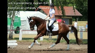 Ich Kommentiere Meinen Ritt - Reitpferde Rp1 Mit Daily Pleasure 26.08.2017