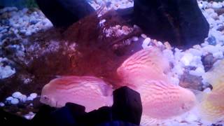 WP 20130307 006