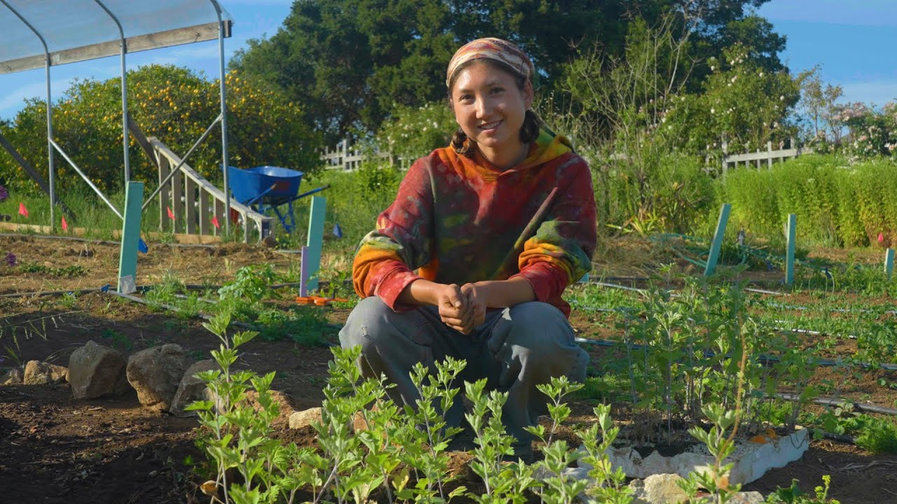 UC Santa Cruz earns Agricultural Experiment Station designation