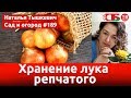 Как сохранить репчатый лук и чеснок зимой