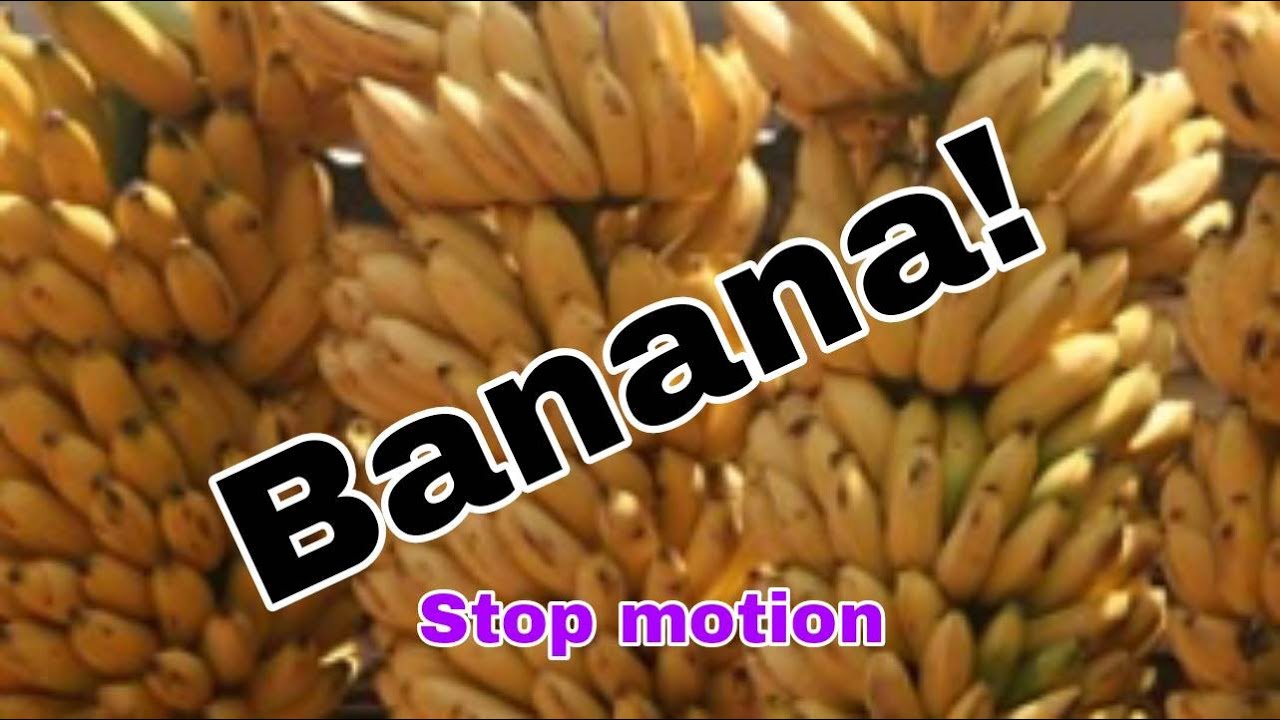 bananas-bananas-e-bananas-stop-motion-youtube