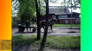 видео: Мой город Шарья картинка: Мой город Шарья