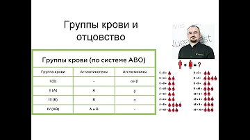 Определение отцовства по группам крови родителей
