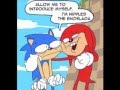 Hedgehog the sonic