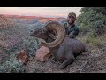 Chad Mendes' 2019 Utah Desert Sheep Hunt!! "I Won the Hunting Lottery!"