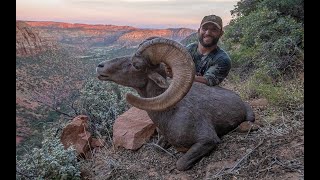 Chad Mendes' 2019 Utah Desert Sheep Hunt!! 