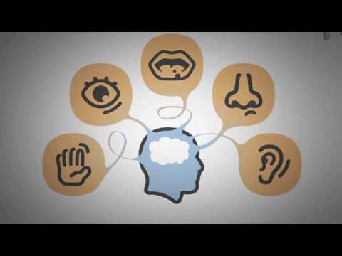 Video: Prečo Je Najlepší Počítač Stále Horší Ako ľudský Mozog? - Alternatívny Pohľad