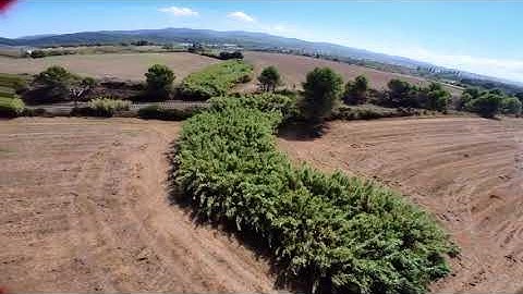 Beta95x V3 + Insta360 Go 2