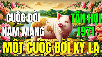 Tử Vi Trọn Đời Nam Mạng Tuổi Tân Hợi 1971: Một Cuộc Đời Kỳ Lạ