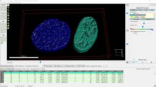 Analyzing objects within objects and object organization, with Clustering & Convex Hull.