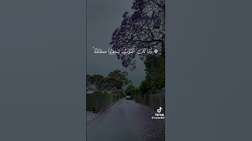 #تلاوات_خاشعة #تلاوة_مميزة #القرآن_الكريم #قرآن_كريم #راحة_نفسية #يارب #quran
