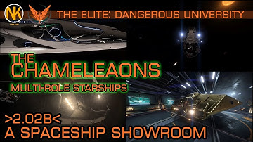 The Spaceship Showroom - Multi-Role [2.02b] - The Elite: Dangerous University