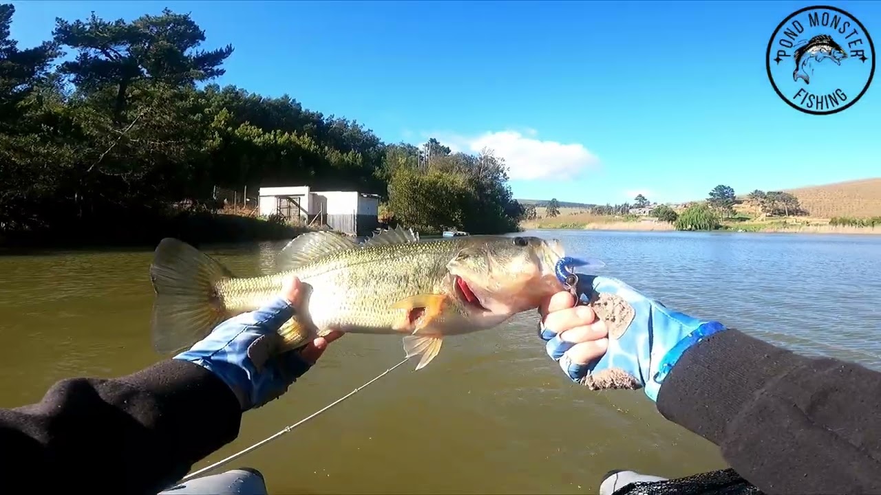 Early spring bass fishing