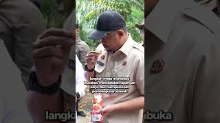 Dulu Cuma Daerah Transit, Kini Dunia Mulai Datang ke Sumut
