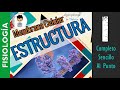 ESTRUCTURA DE LA MEMBRANA CELULAR | FISIOLOGÍA CELULAR |P1