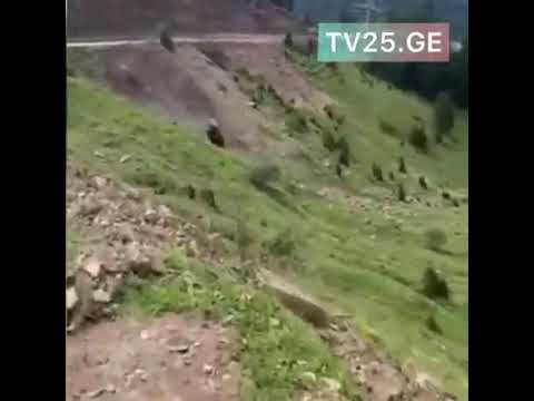 გოდერძის უღელტეხილზე, გზის სავალი ნაწილიდან ავტომობილი ხევში გადავარდა