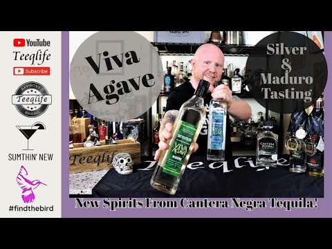 Vídeo: Revel Spirits Lança Nova Categoria Agave Spirit Apelidada De Avila