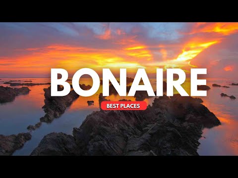 Top 10 places to visit in Bonaire