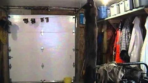 Trapping 2013-2014 season