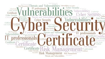 Cyber security certificate part 1 vulnerabilities and risk management : Tonex Training