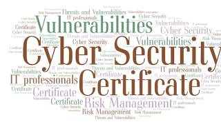 Cyber security certificate part 1 vulnerabilities and risk management : Tonex Training