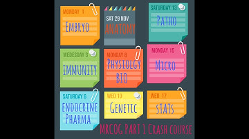 Anatomy & embryology mock revision 2025  mrcog part 1