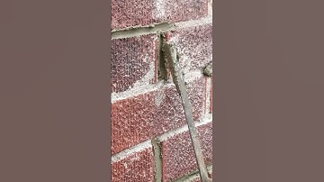 Old Brick Repair, Lime Mortar, and Repointing