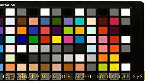 Calibrite ColorChecker Digital SG (CCDSG)