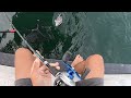 Oregon Inlet Outer Banks Sheepshead Fishing