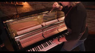 Unison Tuning Exercise