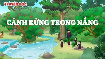 Cánh rừng trong nắng | Tiếng Việt 3, tập 1 | Kết nối tri thức với cuộc sống
