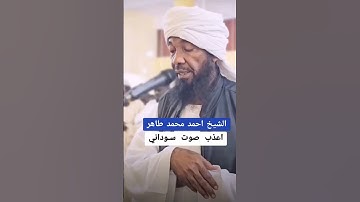 تلاوة تريح الاعصاب #القرآن_الكريم #تلاوة_خاشعة #اكسبلور #متابعه #دويتو #تيك_توك #duet #