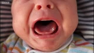 Bebê chorando? Conheça uma técnica para acalmar o seu filho