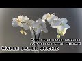 Making wafer paper orchidsmake wafer paper flowers quickly and easily with me