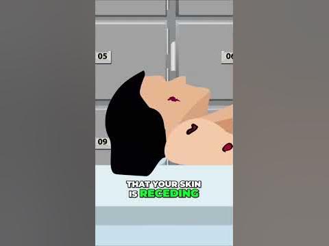 Why Does the Human Body Decompose? - YouTube